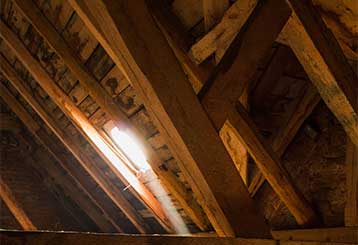 Attic Insulation Removal | Attic Cleaning Santa Monica, CA