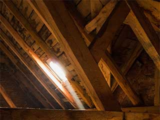 Insulation Removal | Attic Cleaning Santa Monica, CA Insulation Removal | Attic Cleaning Santa Monica, CA