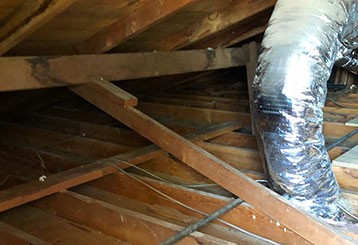 Crawl Space Cleaning | Attic Cleaning Santa Monica, CA