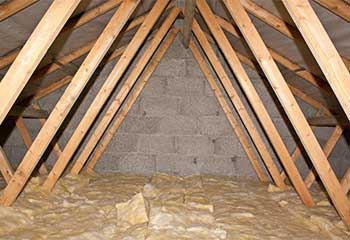 Commercial Rodent Proofing Project | Attic Cleaning Santa Monica, CA Commercial Rodent Proofing Project | Attic Cleaning Santa Monica, CA