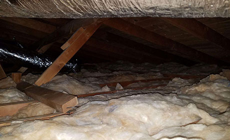 Call Now | Attic Cleaning Santa Monica CA